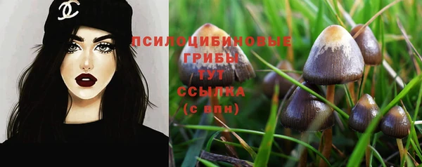 прущий лед Кукмор