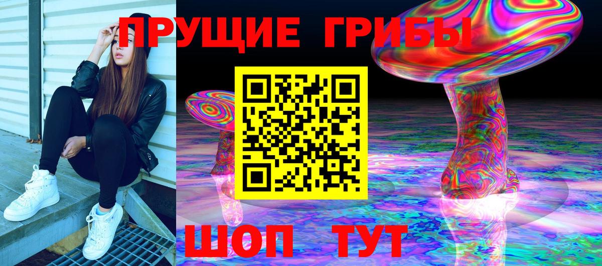сколько стоит  Менделеевск  Галлюциногенные грибы мицелий  Псилоцибиновые грибы прущие грибы 