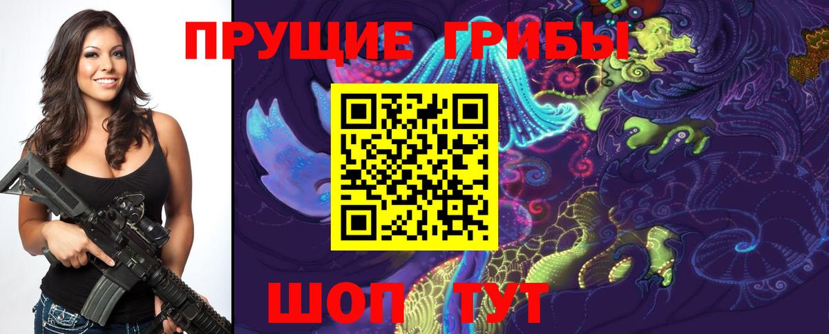 Псилоцибиновые грибы Psilocybe Менделеевск