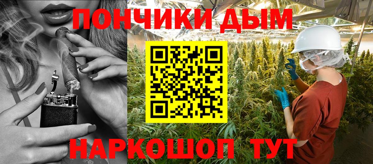 Бошки Шишки сатива Менделеевск